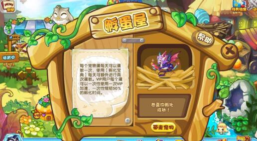 洛克王国相马试题问题答案一览