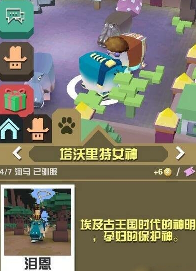 疯狂动物园软木帽图鉴有哪些