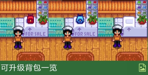 星露谷物语里怎么扩大背包