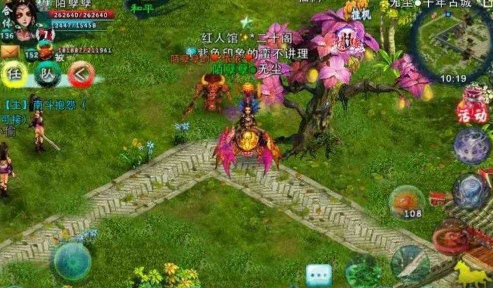 忘仙什么宠物