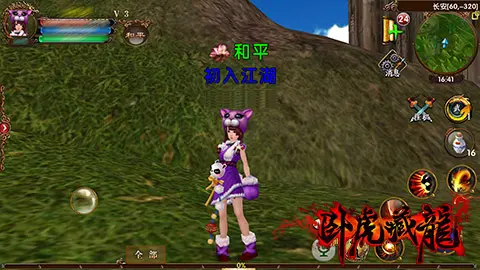 卧虎藏龙皮肤为什么稀有