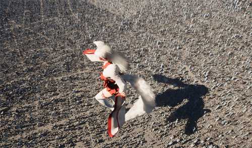 《女巨人游乐场》官方新截图：性感白丝狐妖践踏城市